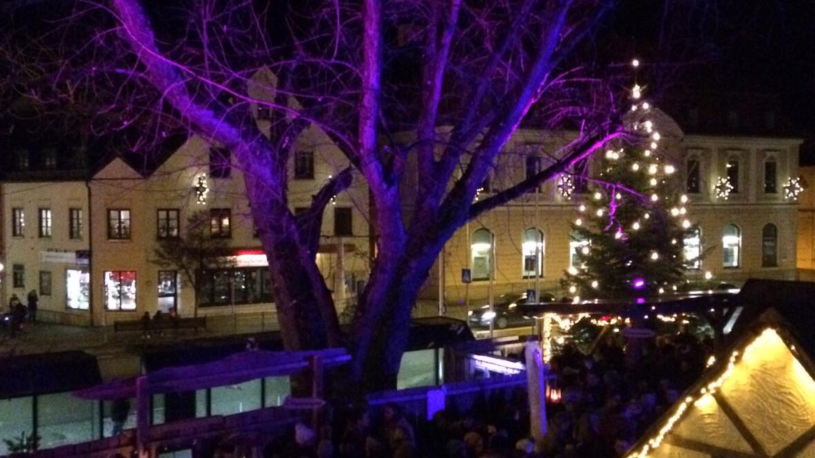 whatsapp-image-2019-11-29-at-18-02-24-3